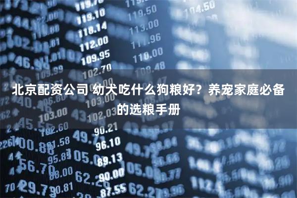 北京配资公司 幼犬吃什么狗粮好？养宠家庭必备的选粮手册