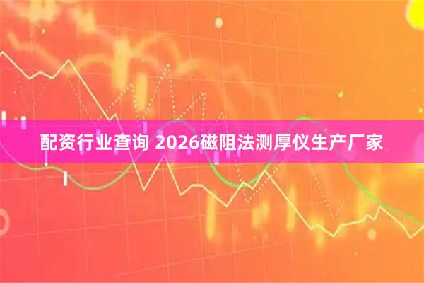 配资行业查询 2026磁阻法测厚仪生产厂家