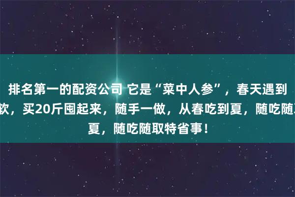 排名第一的配资公司 它是“菜中人参”，春天遇到我从不手软，买20斤囤起来，随手一做，从春吃到夏，随吃随取特省事！